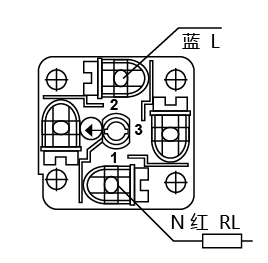 FP53